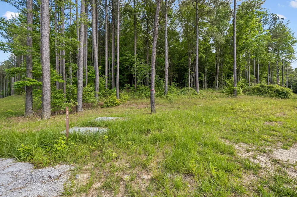1109 Birds Eye Way Guild, TN 37340