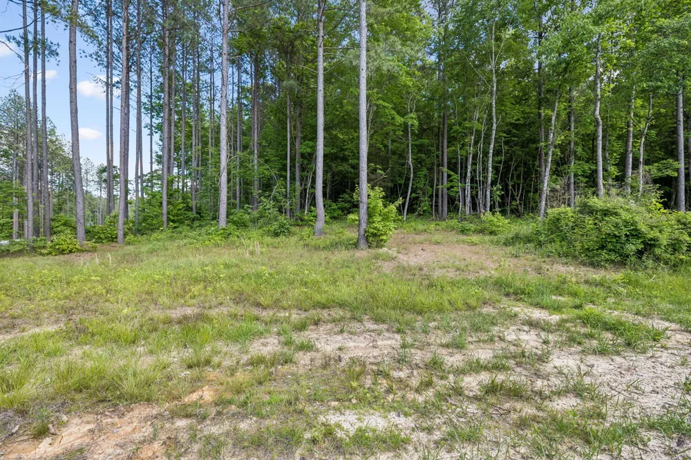 1109 Birds Eye Way Guild, TN 37340
