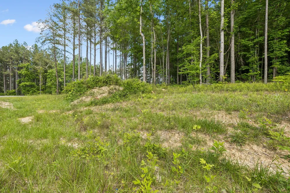 1109 Birds Eye Way Guild, TN 37340