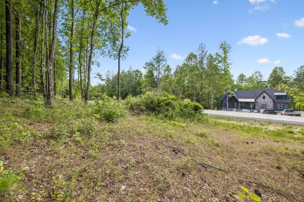 1109 Birds Eye Way Guild, TN 37340