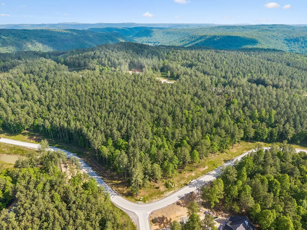 1109 Birds Eye Way Guild, TN 37340