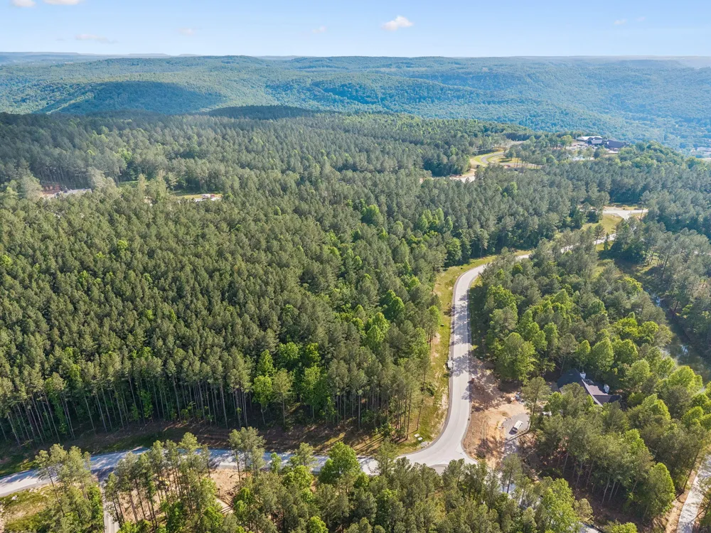 1109 Birds Eye Way Guild, TN 37340
