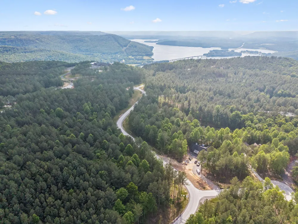 1109 Birds Eye Way Guild, TN 37340