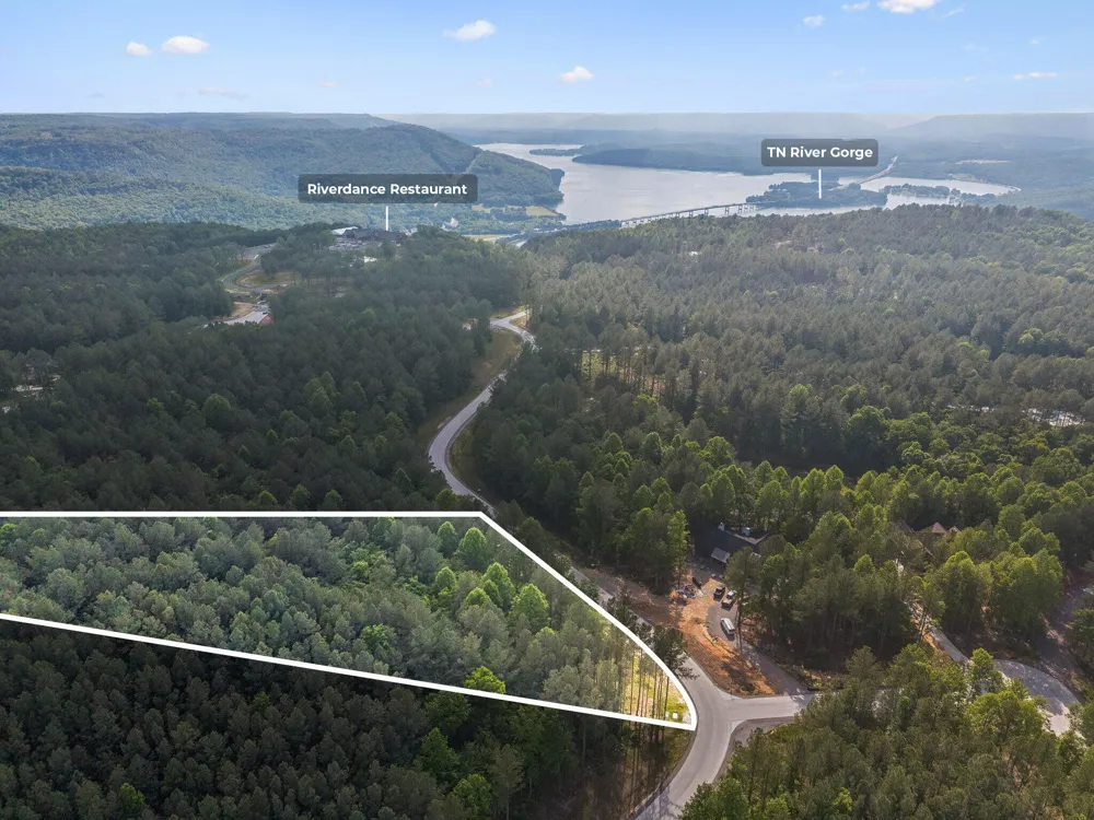 1109 Birds Eye Way Guild, TN 37340