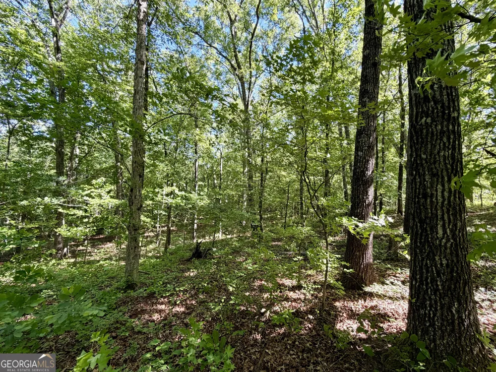 0 Leola RD Douglasville, GA 30135