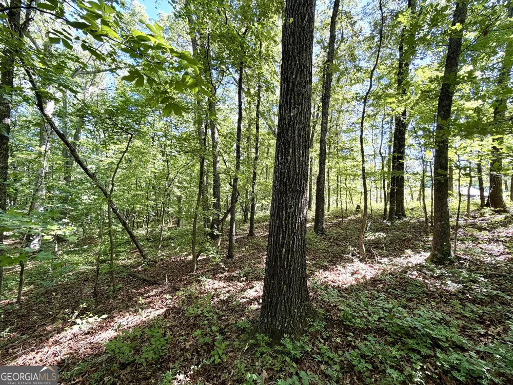 0 Leola RD Douglasville, GA 30135