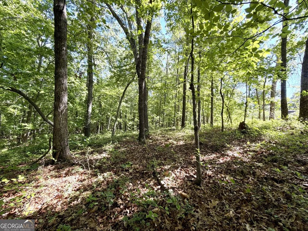 0 Leola RD Douglasville, GA 30135