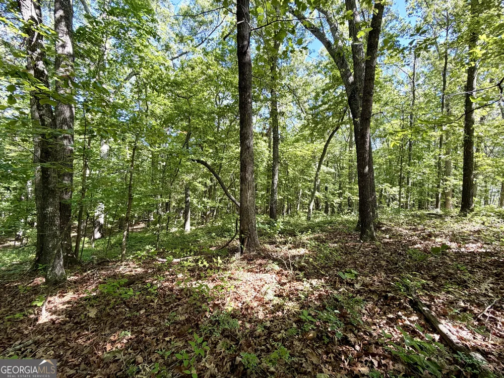 0 Leola RD Douglasville, GA 30135
