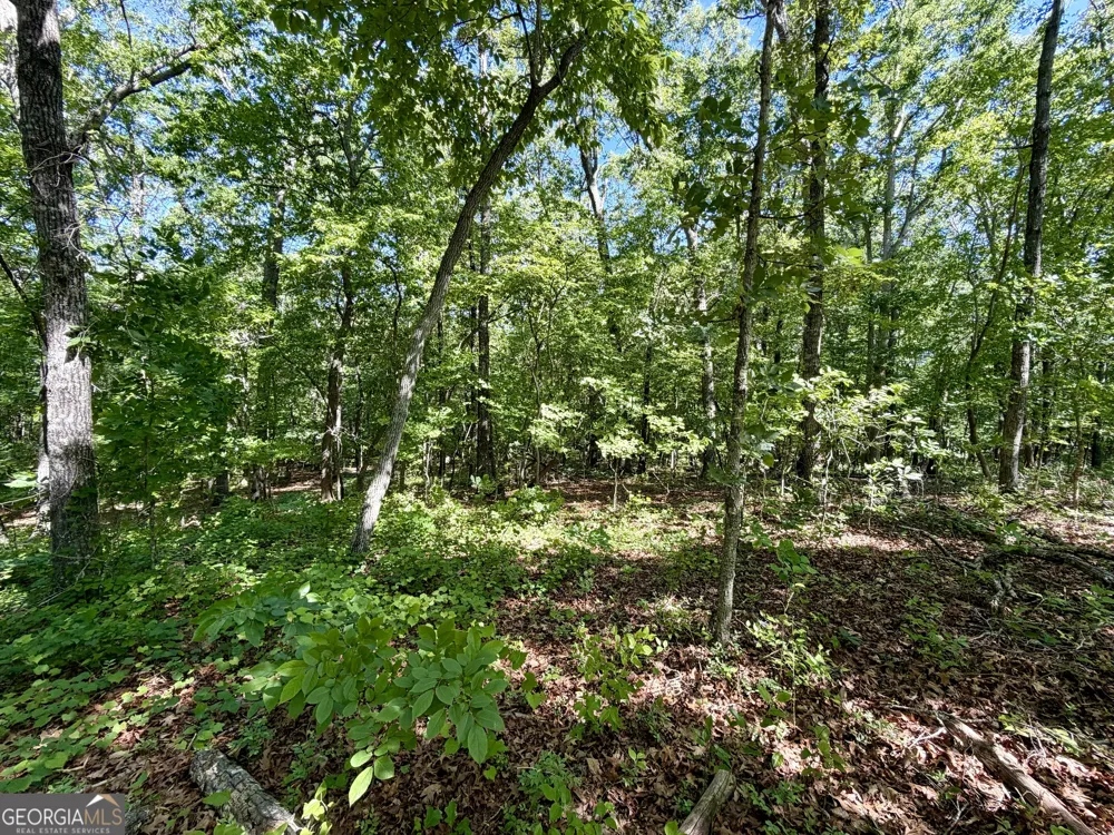 0 Leola RD Douglasville, GA 30135