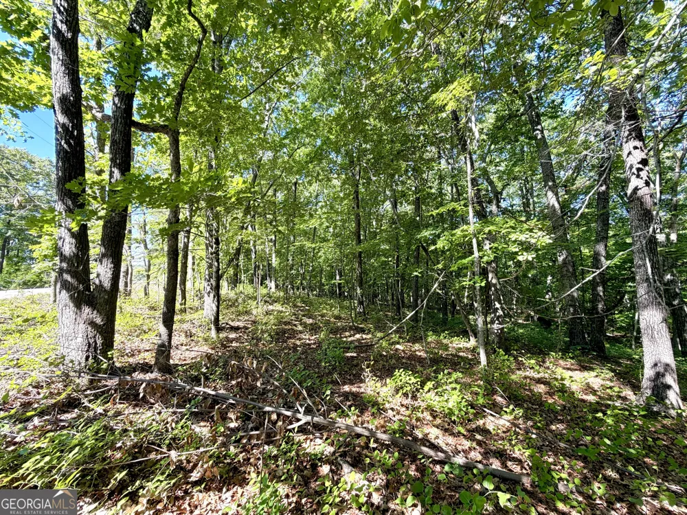 0 Leola RD Douglasville, GA 30135