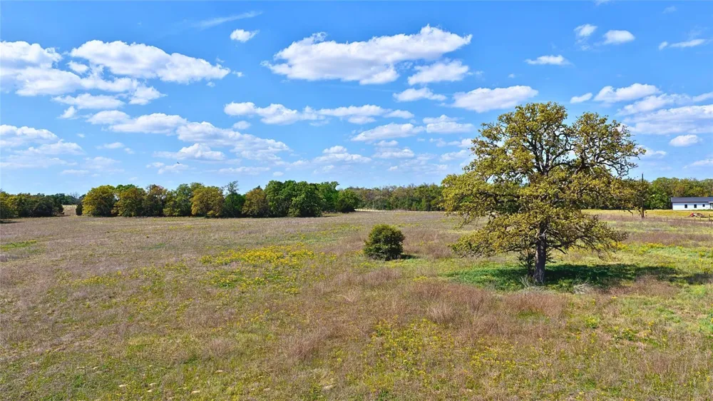 Legacy Road - Over 5 Acres Caldwell, TX 77836