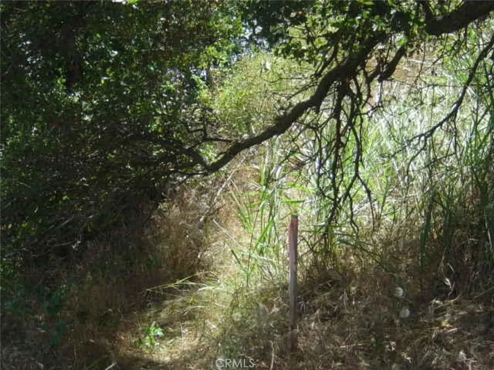1990 Bayberry Drive Glendale, CA 91208