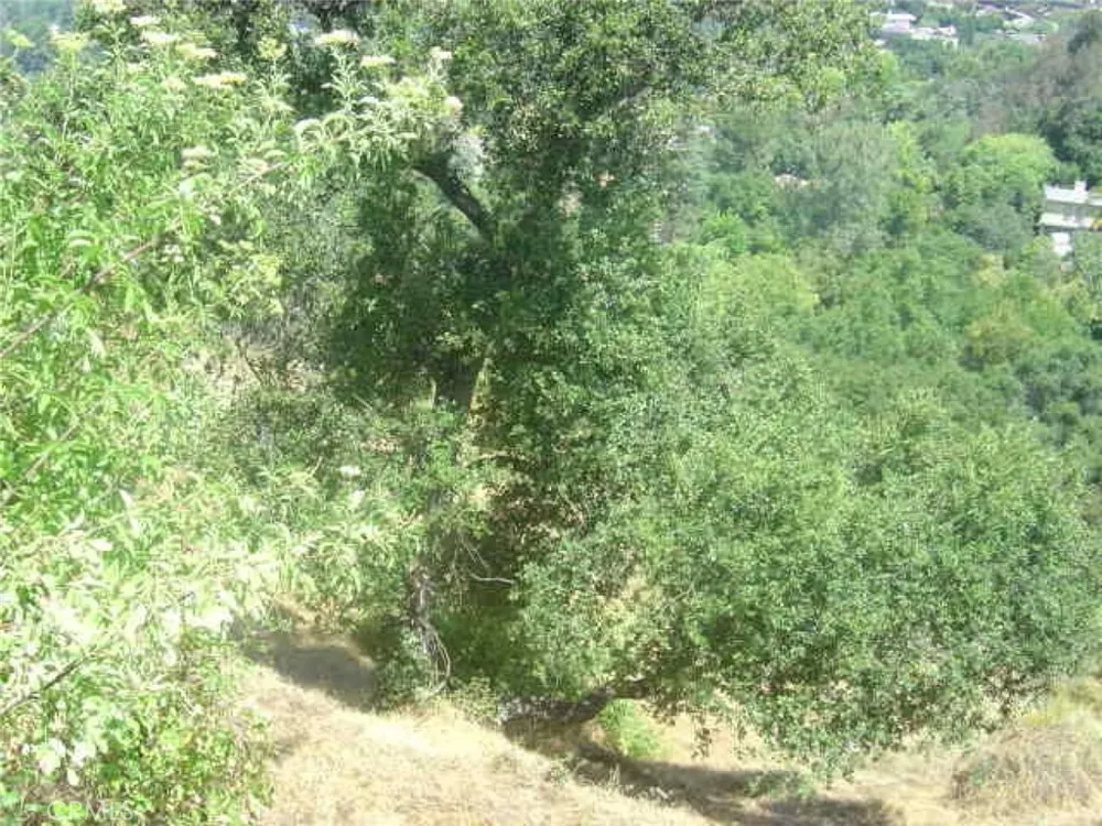 1990 Bayberry Drive Glendale, CA 91208