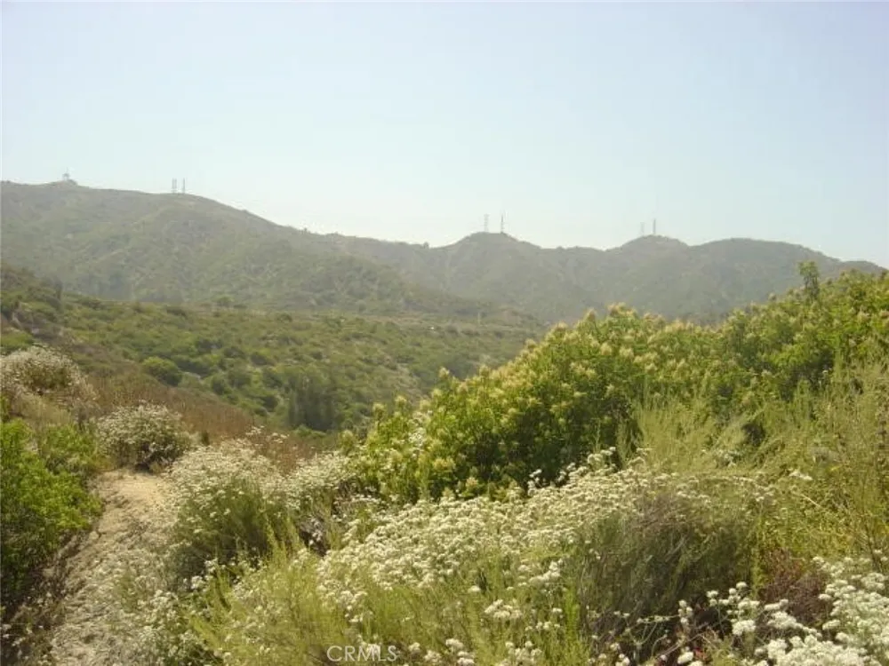 1990 Bayberry Drive Glendale, CA 91208