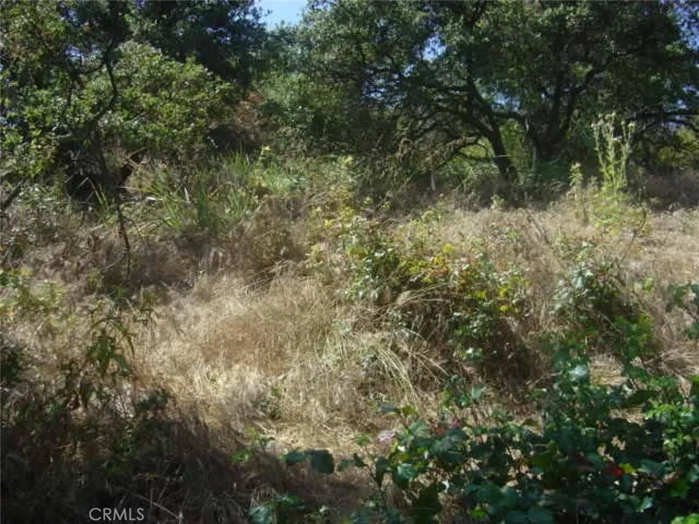 1990 Bayberry Drive Glendale, CA 91208