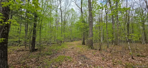 Lot 23.21 State Route 97