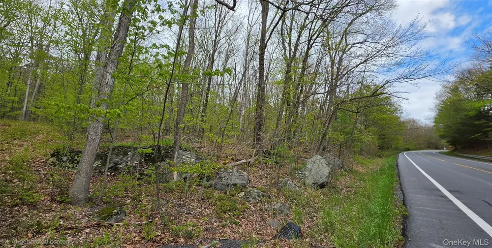 Lot 23.21 State Route 97 Narrowsburg, NY 12764