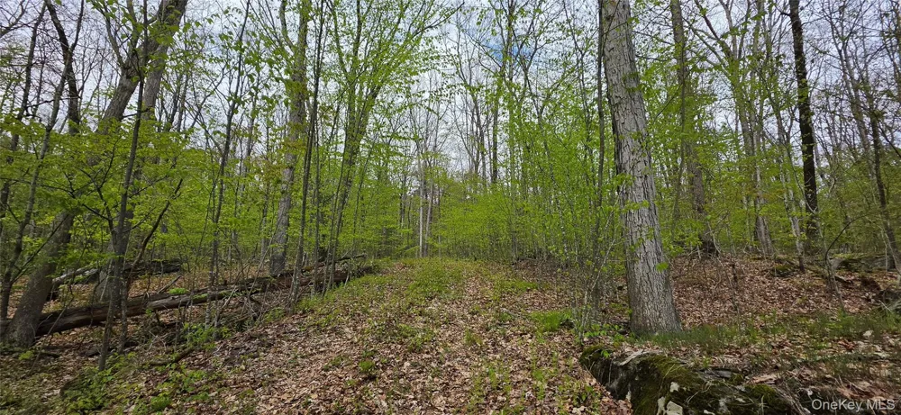 Lot 23.21 State Route 97 Narrowsburg, NY 12764
