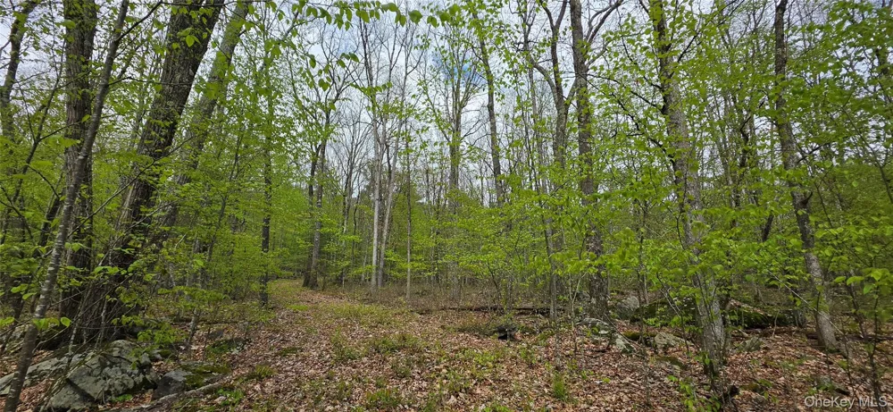 Lot 23.21 State Route 97 Narrowsburg, NY 12764