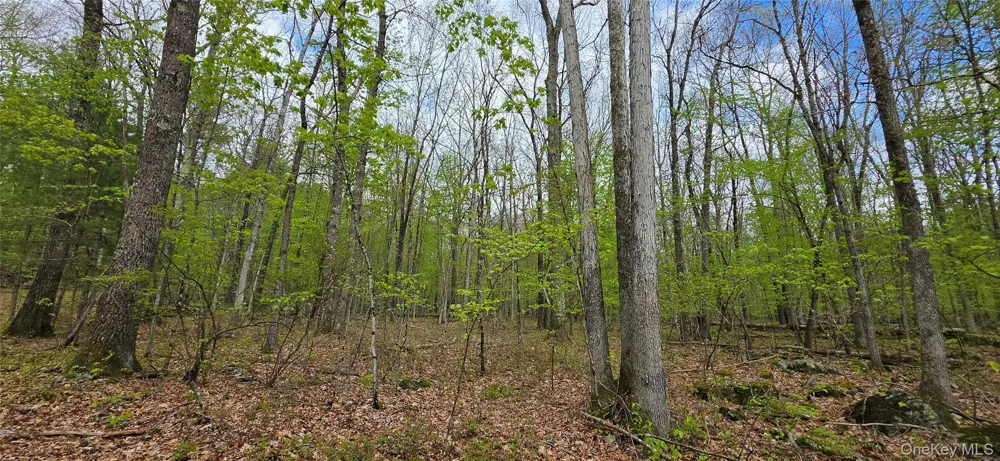 Lot 23.21 State Route 97 Narrowsburg, NY 12764