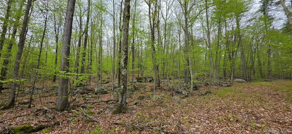 Lot 23.21 State Route 97 Narrowsburg, NY 12764