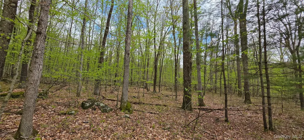 Lot 23.21 State Route 97 Narrowsburg, NY 12764