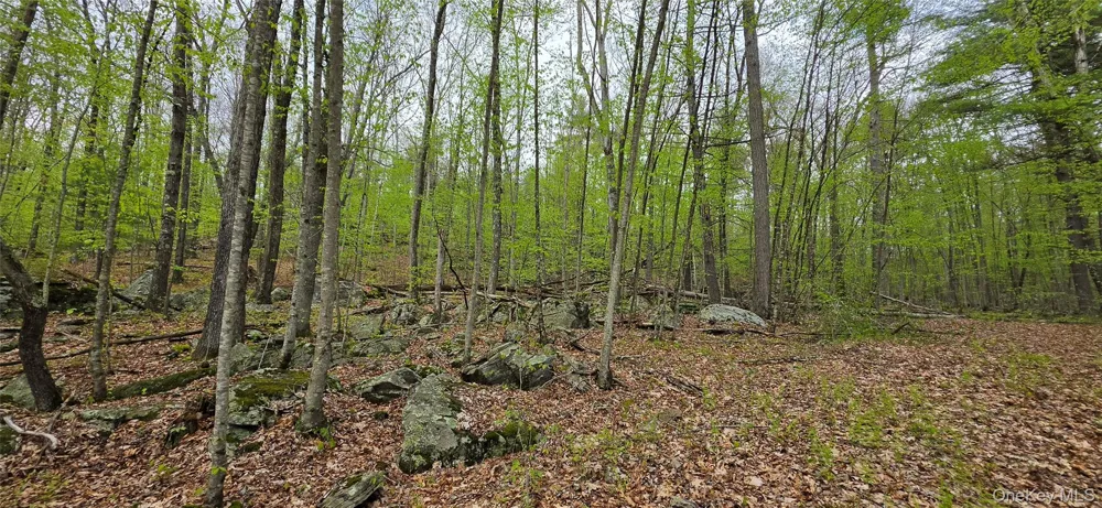 Lot 23.21 State Route 97 Narrowsburg, NY 12764
