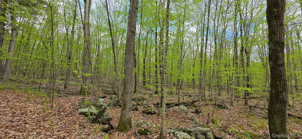 Lot 23.21 State Route 97 Narrowsburg, NY 12764