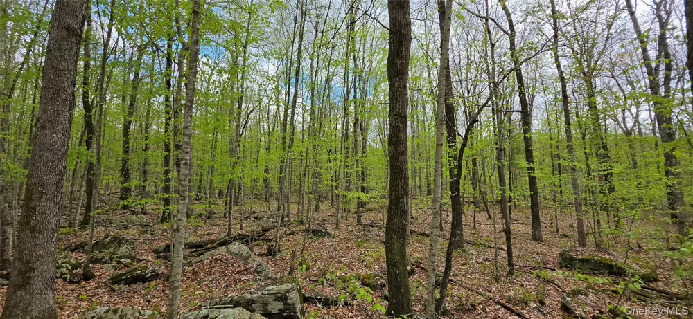 Lot 23.21 State Route 97 Narrowsburg, NY 12764