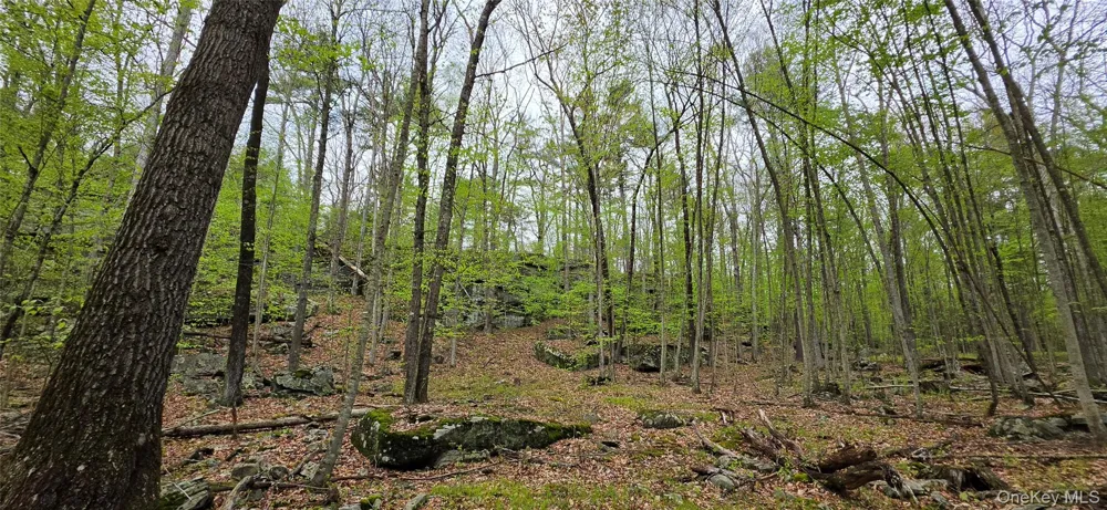 Lot 23.21 State Route 97 Narrowsburg, NY 12764