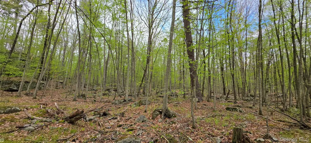 Lot 23.21 State Route 97 Narrowsburg, NY 12764