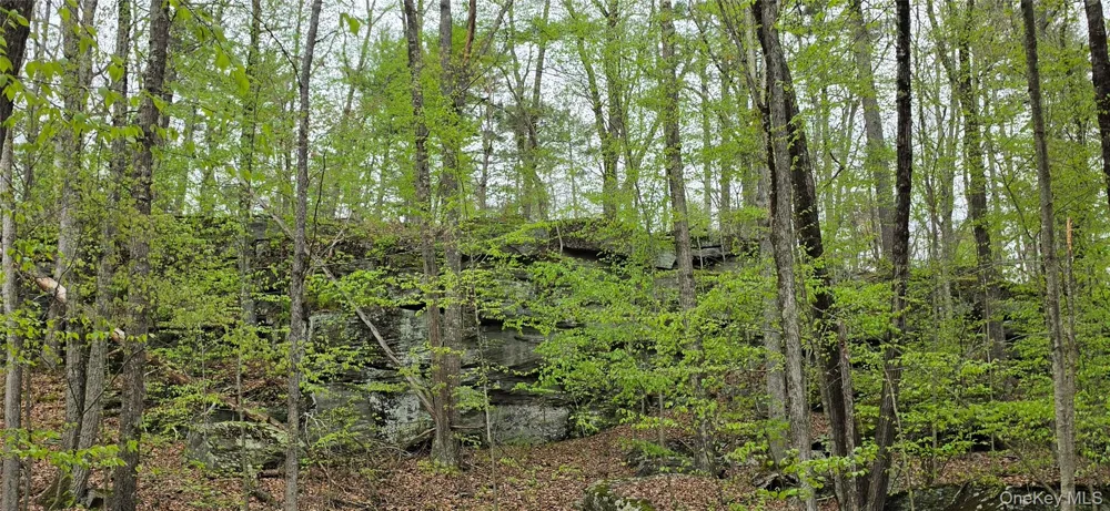 Lot 23.21 State Route 97 Narrowsburg, NY 12764