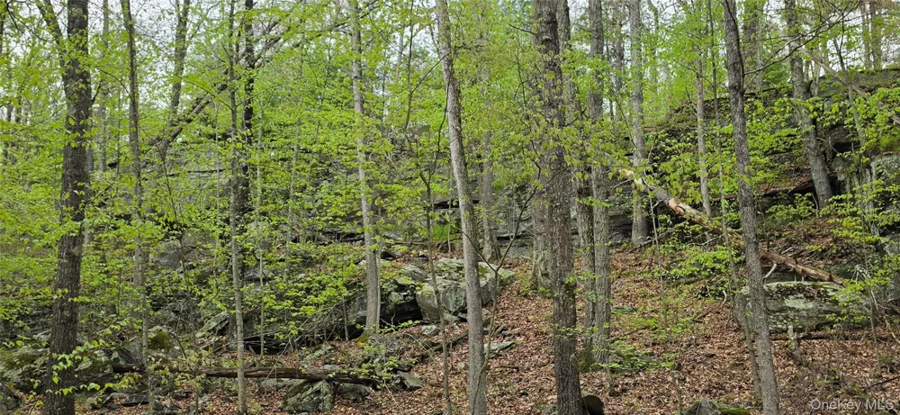Lot 23.21 State Route 97 Narrowsburg, NY 12764