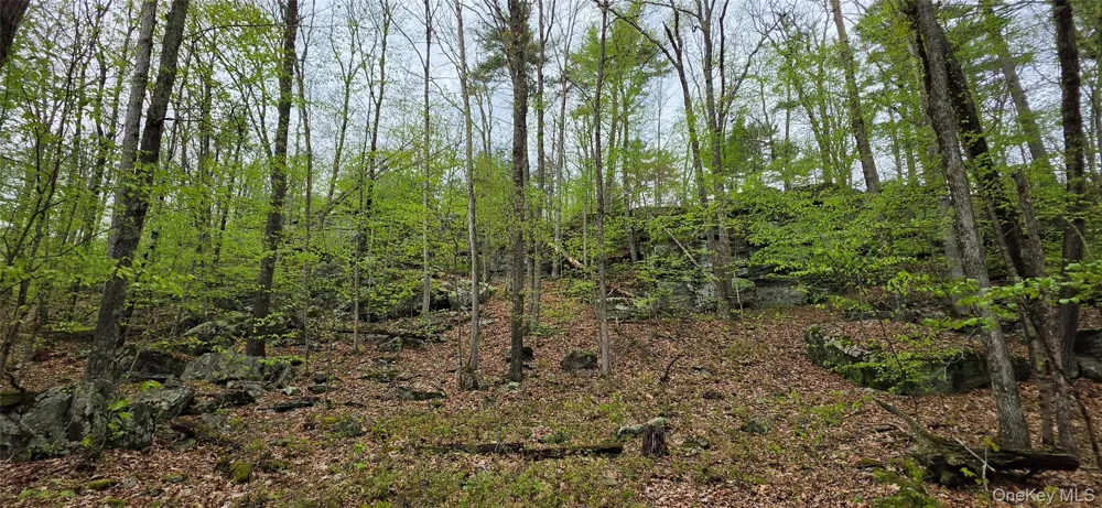 Lot 23.21 State Route 97 Narrowsburg, NY 12764