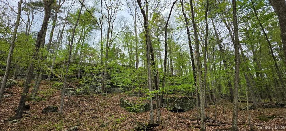 Lot 23.21 State Route 97 Narrowsburg, NY 12764
