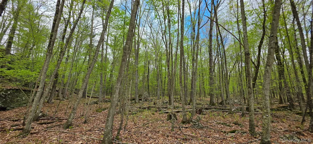Lot 23.21 State Route 97 Narrowsburg, NY 12764