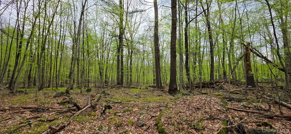 Lot 23.21 State Route 97 Narrowsburg, NY 12764