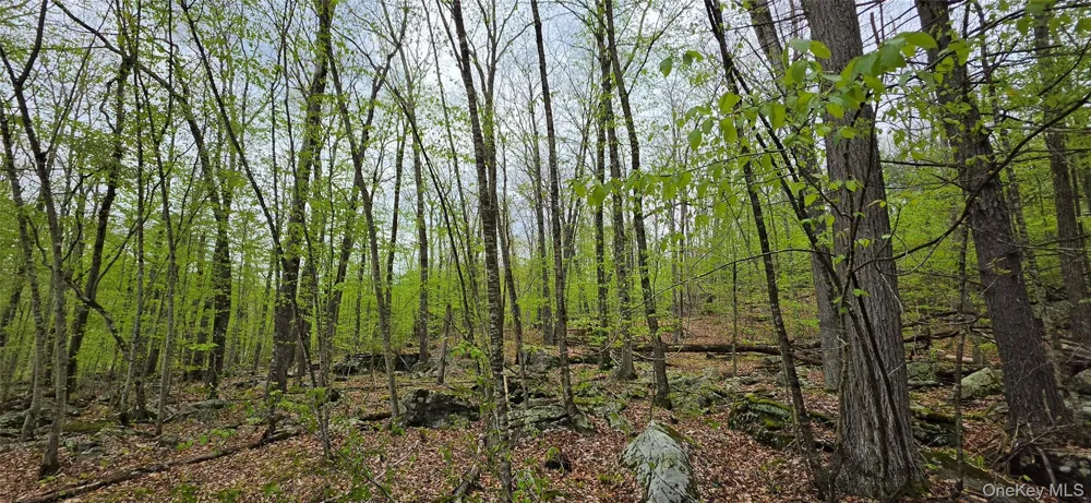 Lot 23.21 State Route 97 Narrowsburg, NY 12764