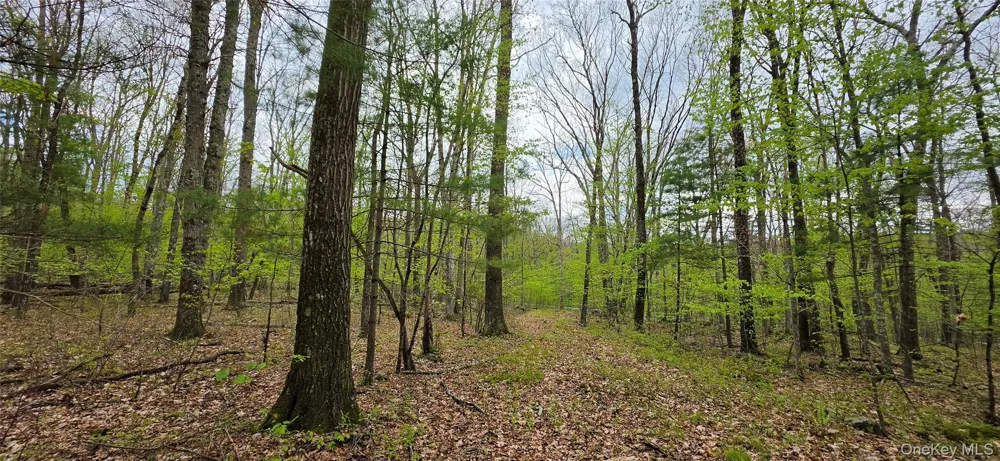 Lot 23.21 State Route 97 Narrowsburg, NY 12764