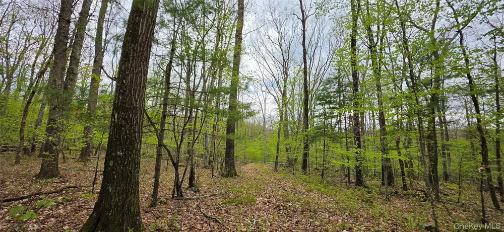 Lot 23.21 State Route 97 Narrowsburg, NY 12764