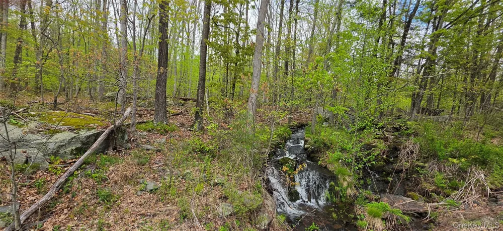 Lot 23.21 State Route 97 Narrowsburg, NY 12764