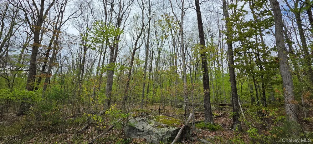 Lot 23.21 State Route 97 Narrowsburg, NY 12764