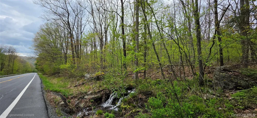 Lot 23.21 State Route 97 Narrowsburg, NY 12764