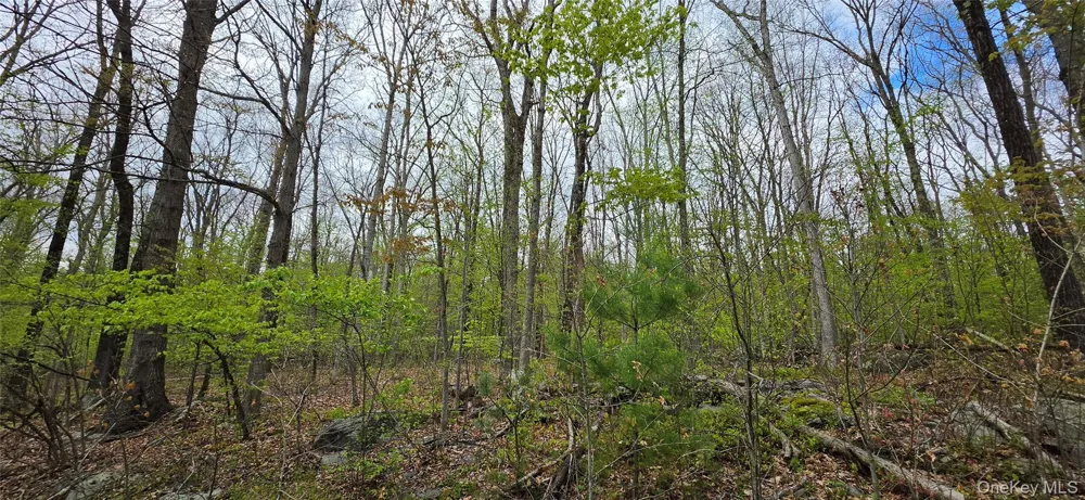 Lot 23.21 State Route 97 Narrowsburg, NY 12764