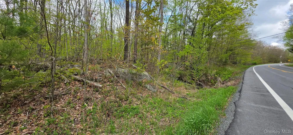 Lot 23.21 State Route 97 Narrowsburg, NY 12764