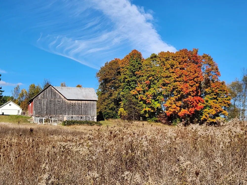 9901 S 41 ROAD Clam Lake Township, MI 49601