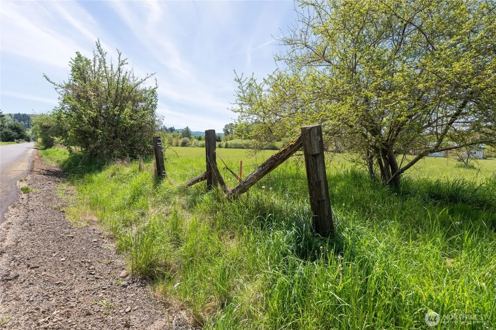 1 Alder Street #Lot 1 Pe Ell, WA 98572