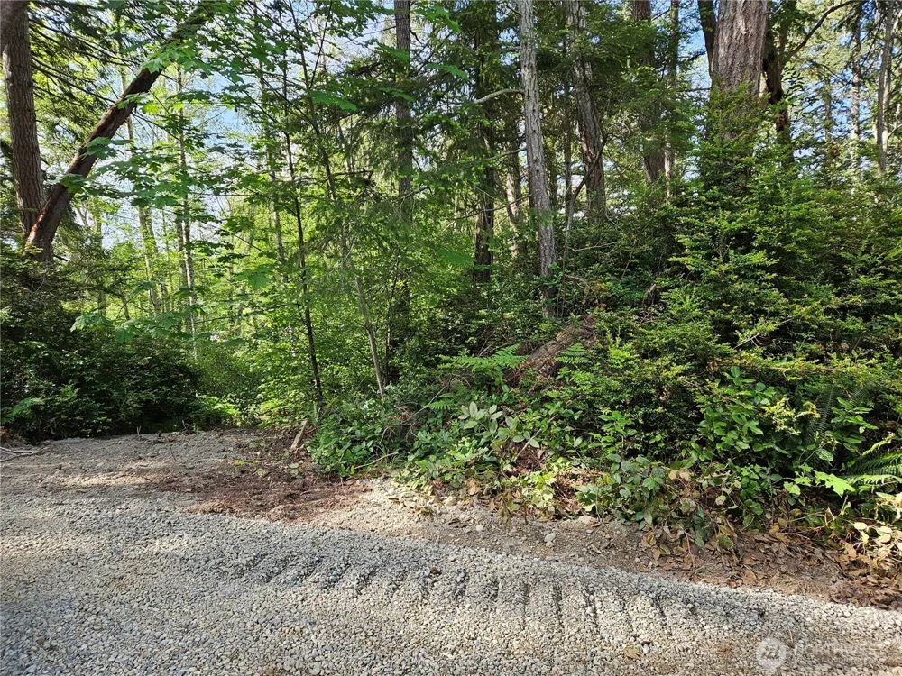 0 NKA Fox Road Quilcene, WA 98376