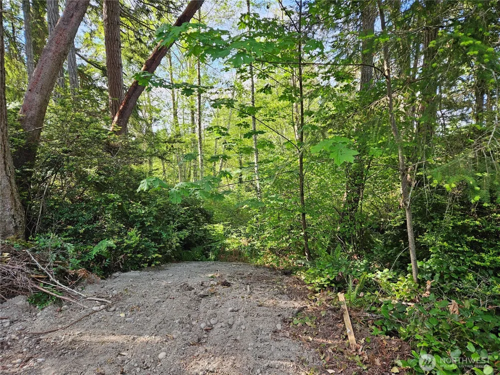 0 NKA Fox Road Quilcene, WA 98376