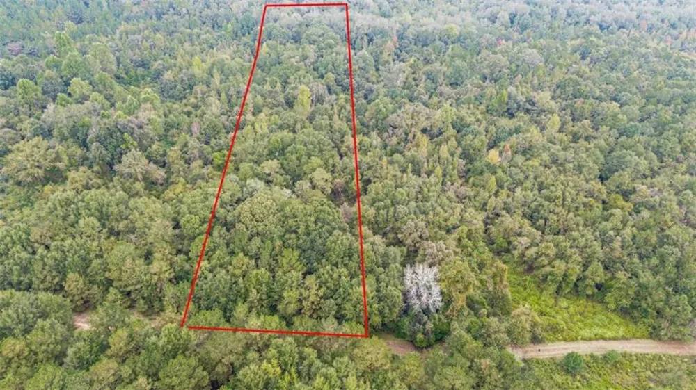 0 Willow Creek Drive Oglethorpe, GA 31068